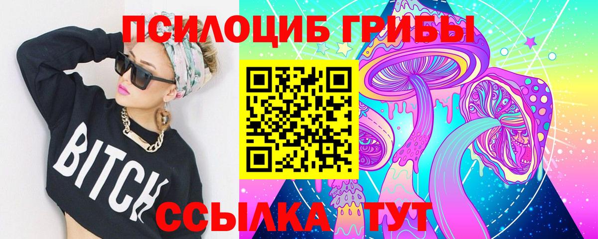 Галлюциногенные грибы прущие грибы  Вход с VPN  Топки 